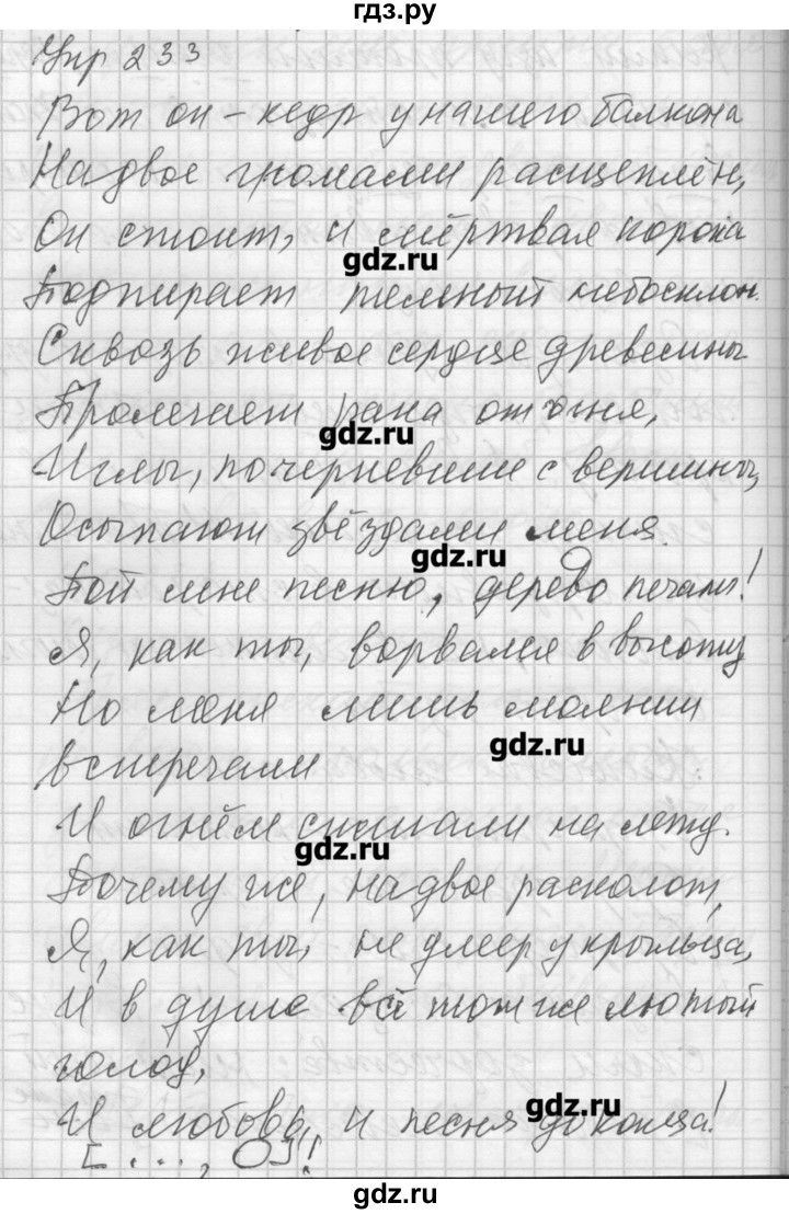 ГДЗ по русскому языку 7 класс Бунеев   упражнение - 233, Решебник