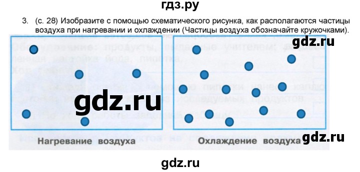 ГДЗ по окружающему миру 3 класс  Плешаков рабочая тетрадь  часть 1. страница - 28, Решебник к тетради 2017