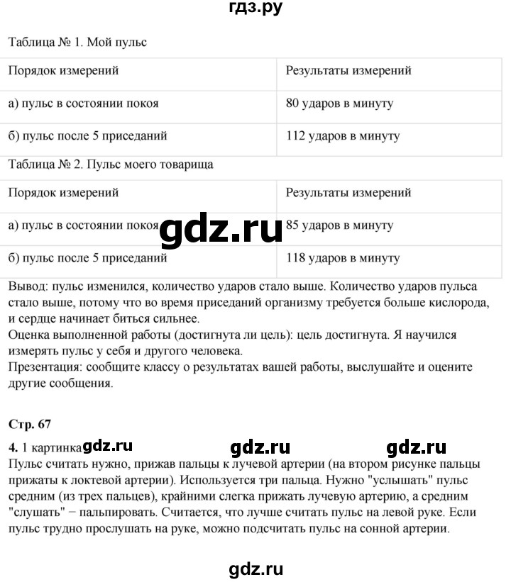 ГДЗ по окружающему миру 3 класс  Плешаков рабочая тетрадь  часть 1. страница - 67, Решебник к тетради 2023