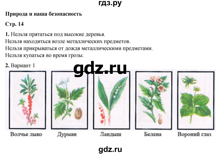 ГДЗ по окружающему миру 3 класс  Плешаков рабочая тетрадь  часть 2. страница - 14, Решебник к тетради 2023