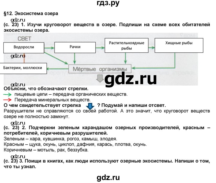 ГДЗ по окружающему миру 3 класс Вахрушев рабочая тетрадь  часть 1 (страница) - 23, Решебник
